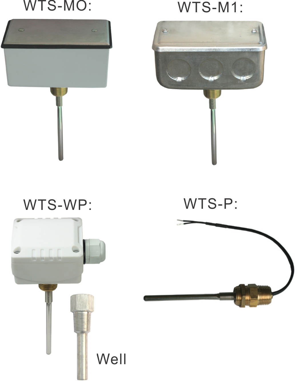 Immersion Water Temperature Sensor Temco Controls Ltd.